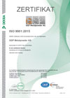 ISO 9001:2015 - deutsch