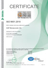ISO 9001:2015 - english